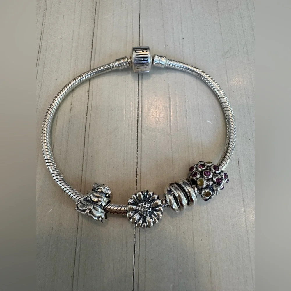 Biagi/Pandora 925 Sterling Silver Snake Bracelet with Vintage Charms - Picture 2 of 15
